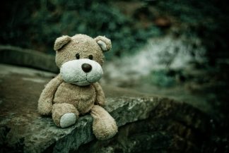 sad teddy bear
