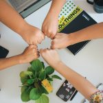 person holding green flower bud